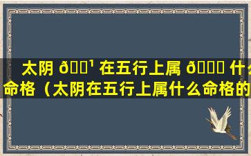 太阴 🌹 在五行上属 🐕 什么命格（太阴在五行上属什么命格的人）